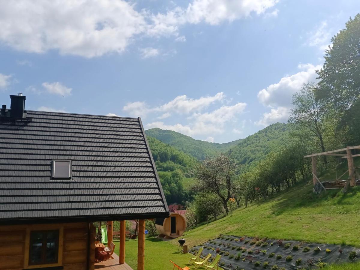 Dziewiecsil Apartment